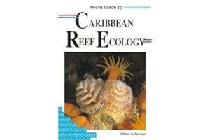 Lonely Planet Caribbean Reef Ecology 1st Ed.: First Edition