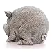 Pig Pudgy Pals Garden Statue