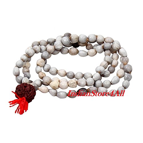 IndianStore4All Natural Vaijaynti Mala 108+1 Beads with 5 Mukhi Rudraksha