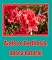 Livro Azalea e hortênsia, busca natural.