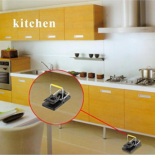 JER Lot de 8 Pièges à Souris Réutilisables Piege Souris Piege Rat à Déclenchement Précis, Kill Mice Catcher pour Maison