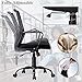 Ergonomic Office Chair Desk Chair Mesh Computer Chair with Lumbar Support Arms Modern Executive Rolling Swivel Mid Back Task Chair for Women Adults,Black