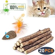 Cat Catnip Sticks Natural Matatabi Silvervine Sticks - Cleaning Teeth Molar Tools Kitten Cat Chew Toy Natural Catnip Mouse Cat Toy (20 PCS)