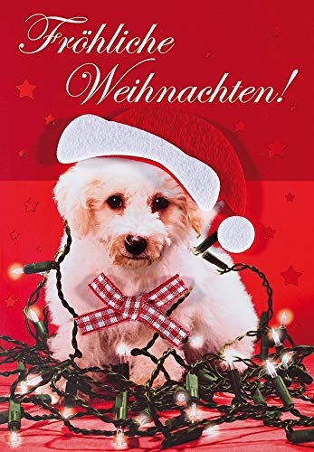 Perleberg Animal Christmas Card with Envelope in Red - High-Quality Christmas Postcard Black White - Card Christmas for Beautiful Christmas Greetings - Greeting Card