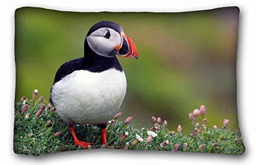 TSlook 50x80 Blankets Funny Birds Animal Bird Flowers Puffin Comfy Funny Bed Blanket