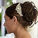 Mariell Gold Crystal Vine Bridal Hair Comb, Wedding or Prom Hair Comb Jewelry Accessory for Women, Brides