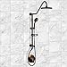 Pulse 1011-ORB Shower Spa, Oil Rubbed Bronze