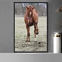 Framed Canvas Wall Art Horse Animals Dramatic Farmhouse/Country Horse Living Room Multicolor Photography - 16x24 inches