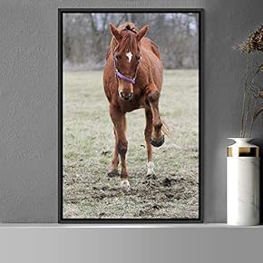 signwin Framed Canvas Wall Art Horse Animals Dramatic...