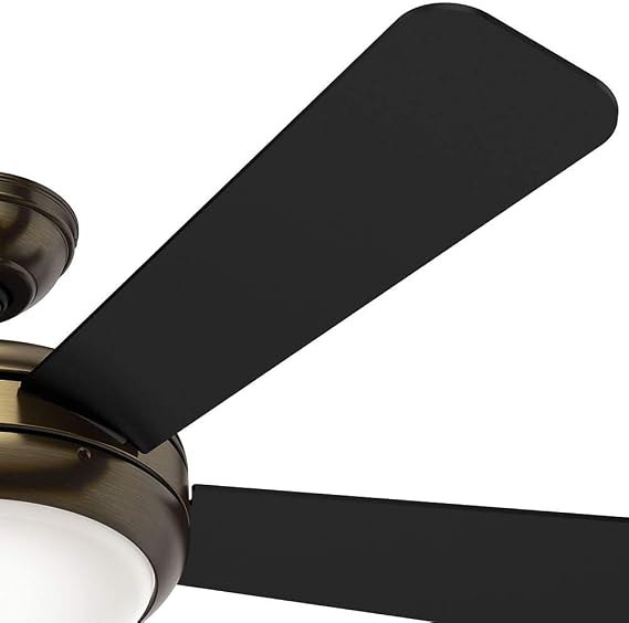Hunter Fan Company 59053 Palermo 52 Ceiling 5 Reversible Light Kit Brushed Bronze Fan With Black Walnut Blades Amazon Com