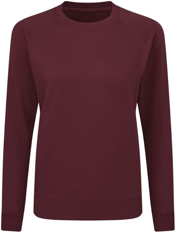 women's raglan sleeve sweatshirt