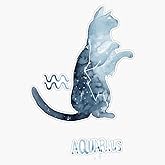 Zodiac Cat - Aquarius Sticker Outdoor Rated Vinyl Sticker Decal for Windows, Bumpers, Laptops or Crafts 5