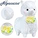 Alpacasso 17