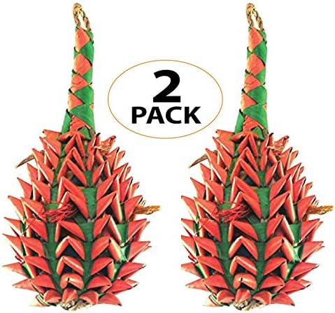 Planet Pleasures Pineapple Foraging Toy