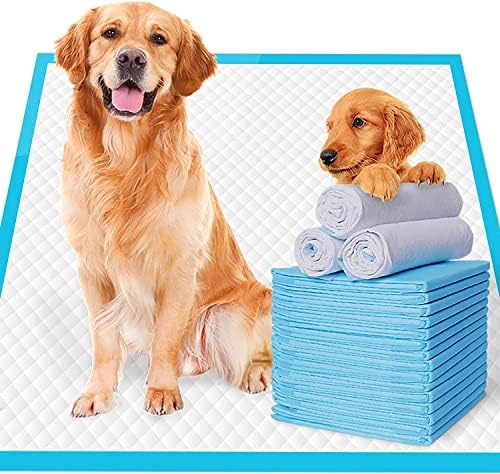 Dog How To Train Cats Not To Pee In The House Potty Train Senior