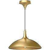 Alora Mood PD627914BG ABEL Pendant, Brushed Gold