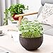 THUSIBER Hanging Basket Plastic Flower Pot Round Resin Garden Hanging Planter for Indoor Outdoor Plants 2 Pack Brown