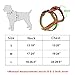 Beirui Genuine Leather Dog Harness - No Escape Harnesses for Medium Large Dogs Pet Training Walking - Easy Adjustable Heavy Duty Strap Harness (Chest for 24-29