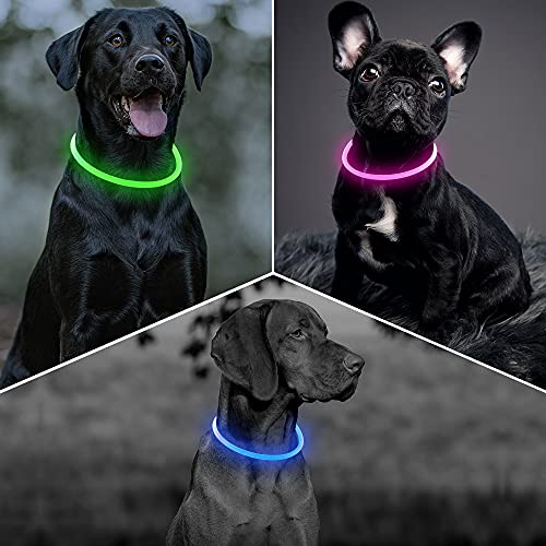 PZRLit Lighted Dog Collar LED-USB Rechargeable, Adjustable TPU Cut to Size Light Up Dog Collar for Small Medium Large Dogs, Safety Glow Puppy Collar for Night Walking (Candy Pink)