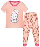 Girls' Short Sets Cat Pajamas 100% Cotton Sleepwear 2 Piece for Toddler Pink 2-7T (4T (3-4 Years), Bunny and carrot)