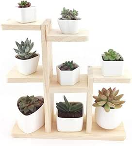 PLLP Planta Base para el Hogar, Estante de Varios Niveles de Flor de