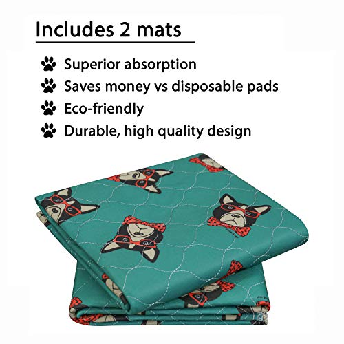 rocket & rex Washable, Puppy Pee Pads. Waterproof, Pet Training Reusable Pads. Leak-Proof and Absorbent. Whelping, Incontinence, Travel. (30" x 36" - 2 Pack, Hipster Dog)