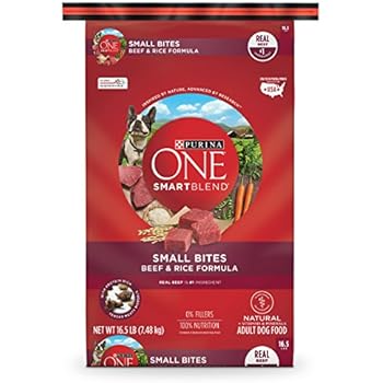 Amazon.com: Purina ONE Natural Dry Dog Food, SmartBlend