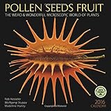 Pollen Seeds Fruit 2016 Wall Calendar: The Weird & Wonderful Microscopic World of Plants