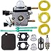 BG55 Carburetor Compatible with Stihl BG45 BG55 BG65 BG85 Leaf Blower for Zama C1Q-S68 C1Q-S68G Tune Up Kit - C1Q-S68 Carburetor Carb with Air Filter Fuel Filter Spark Plug By TOPEMAI