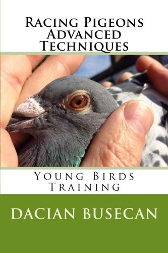 Racing Pigeons Advanced Techniques: Young Birds Training
