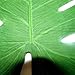 Tinksky Tropical Palm Leaves 13-Inch Simulation Leaf for Hawaiian Luau Party Jungle Beach Theme Party Decorations,12-Pack