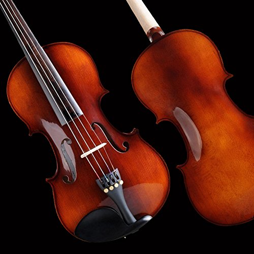 The Red Violin A True Story? New Violinist