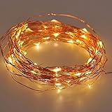 IREALIST Copper Wire Starry LED String Light 100 Leds 33 ft Rope Lights For Seasonal Decorative Christmas Holiday Wedding Parties