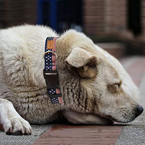 Egoola American Flag Dog Collars Adjustable USA Basic Dog Collar Soft Comfortable Pet Collar for Size S M and L Dogs (M 19-13 inch)