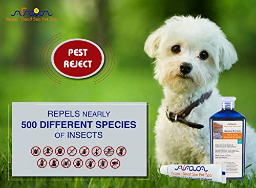 Arava Natural Flea & Tick Prevention for Dogs - 4-Doses - 100% Safe Dog Flea & Tick Control - Repels Pests with Natural Oils - Safe on Skin and Coats - Enhanced Defense & Prevention (3 Variations) - Thumbnail 5