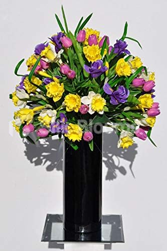 Amazon Silk Blooms Ltd 人工黄色ダッホジル チューリップとアイリスの花のアレンジメント 緑の葉と背の高い黒の花瓶付き 造花 オンライン通販 Amazon Silk Blooms Ltd 人工黄色ダッホジル チューリップとアイリスの花のアレンジメント 緑の葉と背の高い黒の花瓶付き 造花 オンライン通販