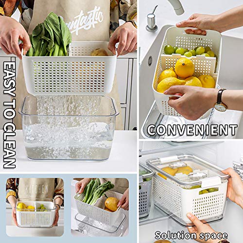 Fresh Container with Vents,3 Pack Produce Saver Container Vegetable
