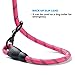 Ladoogo Heavy Duty Dog Leash - Comfortable Foam Handle, 5 ft Long - Dog Leashes for Medium Large Dogs with A Free Collapsible Pet Bowl (Pink)