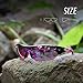 TOREGE Polarized Sports Sunglasses for Men Women Cycling Running Driving Fishing Golf Baseball Glasses TR02 Upgraded(Black&Purple&Pink Purple Lens)