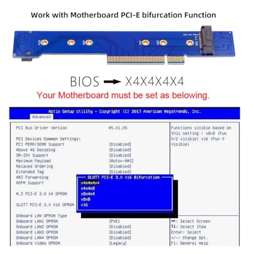 chenyang M.2 NVMe to PCIe 3.0/4.0 X8 Adapter Dual NVMe/AHCI SSD to PCI Express Gen4 Expansion Adapter