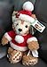 Disney Christmas Holiday Santa 9 inch Duffy Bear Mickey Mouse NEW 2012 Release