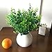 Aplstar Artificial Shrubs Plants,14
