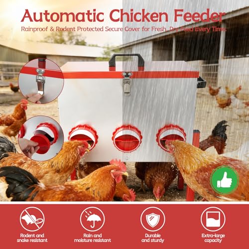 Automatic Chicken Feeder Large Capacity 15kg (33lbs) Rat Proof Chicken Feeder with 6 Feeding Holes for Duck/Geese Breeding Chicken Coop