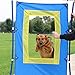 Better Sporting Dogs Window Jump | Dog Agility Window Jump | Schutzhund Jump | Dog Agility Equipment