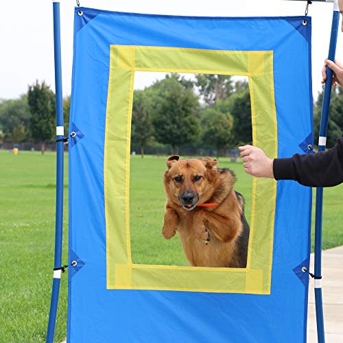 Better Sporting Dogs Window Jump | Dog Agility Window Jump | Schutzhund Window Jump