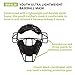Champion Sports Lightweight Youth Catchers Mask - Full Face Protection - Comfortable Fit - Metal Frame - Helmet Harness - Ideal Catchers Mask for Young Catchers,Black