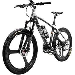 Electric Bike Electric Mountain Bike Electric Snow Bike, Super-Light 18kg Carbon Fiber Electric Mountain Bike PAS…