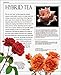 Ultimate Rose (American Rose Society)