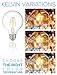 Hyperikon G25 LED Vintage Filament Bulb, Dimmable, 5W (40W Equivalent), 500 lumen, 2700K (Warm White), Medium Base (E26), CRI 80+, UL-Listed - (Pack of 6)