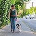 LC-dolida Dog Water Bottle for Walking Travelling, 400ml/14oz